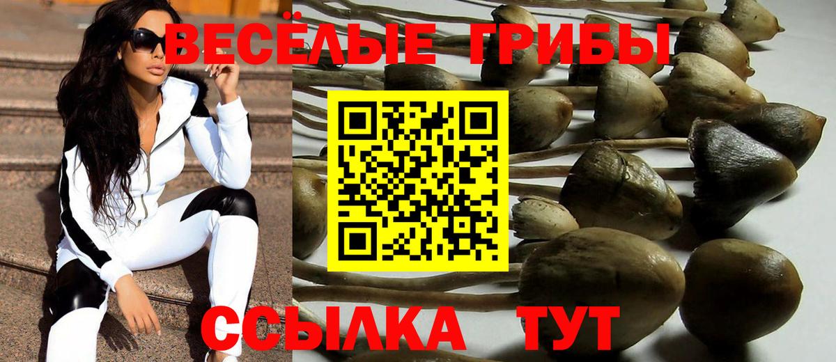 Галлюциногенные грибы ЛСД Гусиноозёрск