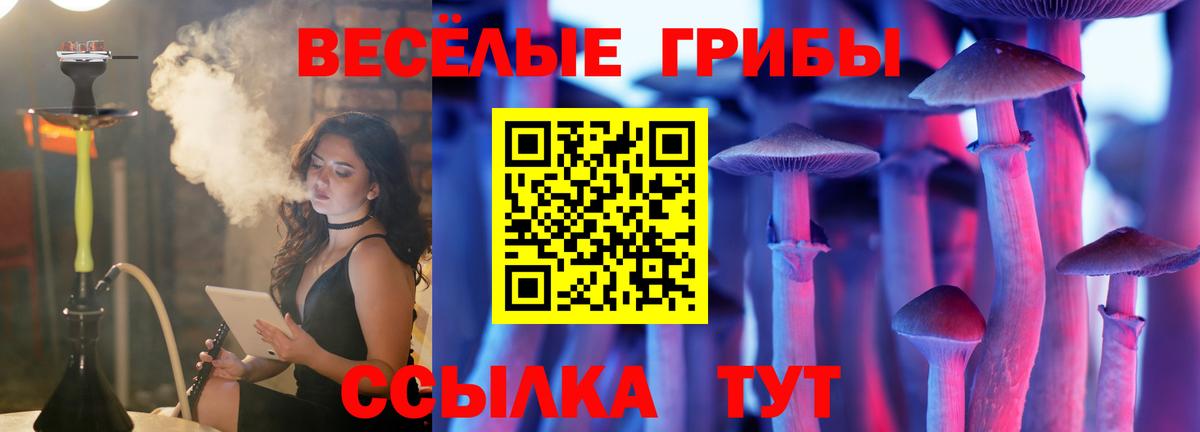 Гусиноозёрск  Галлюциногенные грибы Psilocybine cubensis  Вход с VPN  Псилоцибиновые грибы мухоморы 